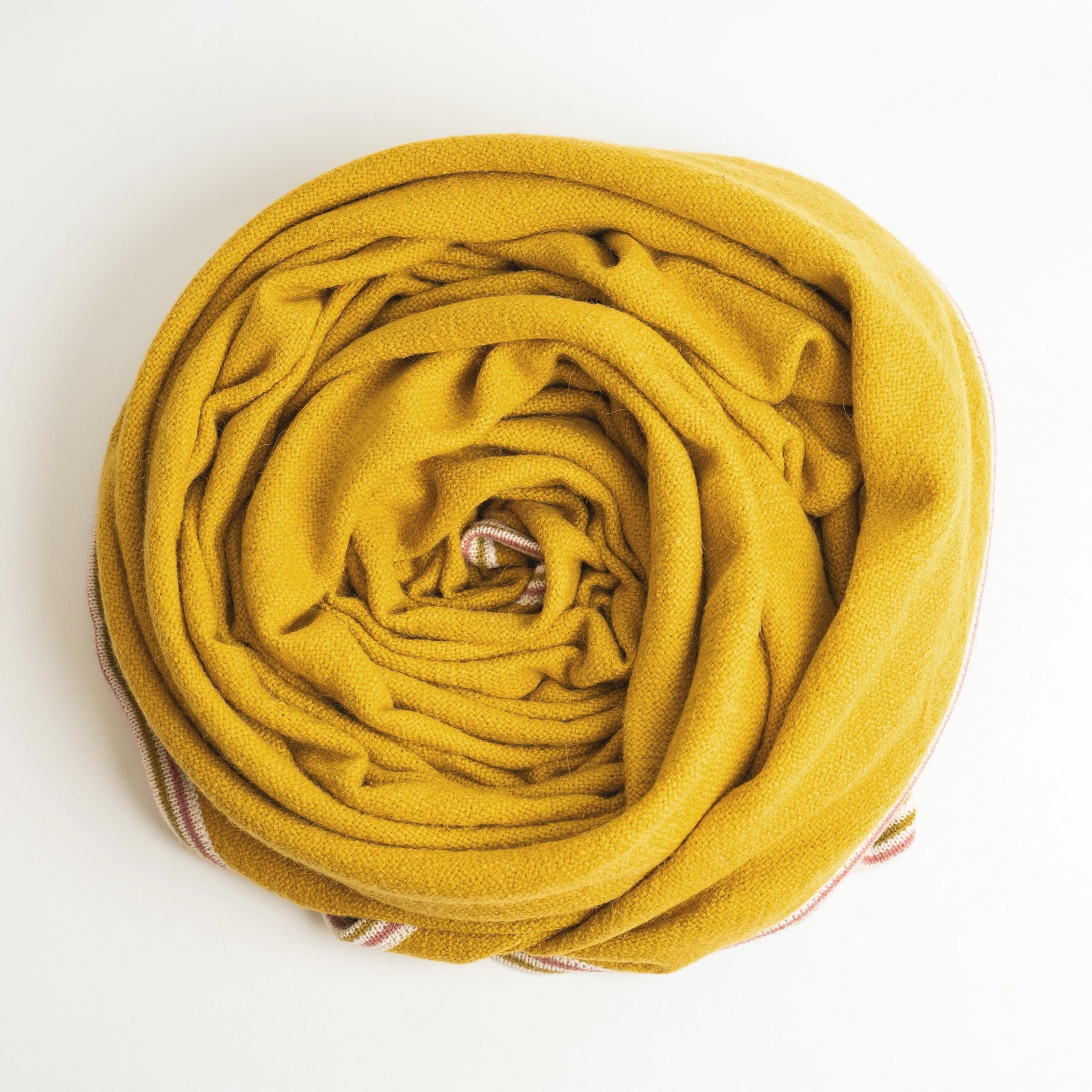 Alpaca Wool blanket in Citrine color shown coiled up on white background