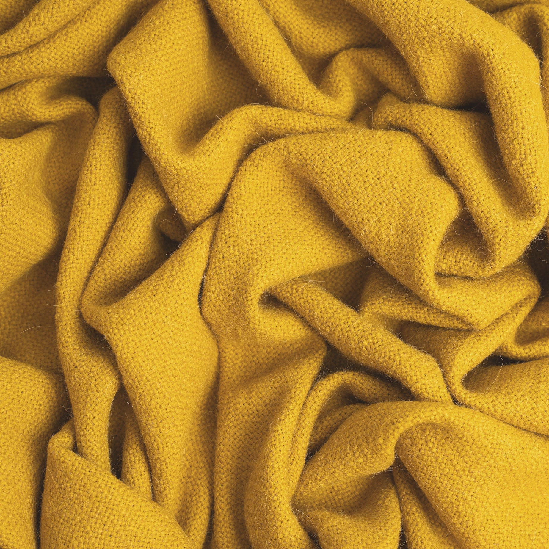 Alpaca Wool blanket in Citrine color shown close up, cropped in and wrinkled on white background