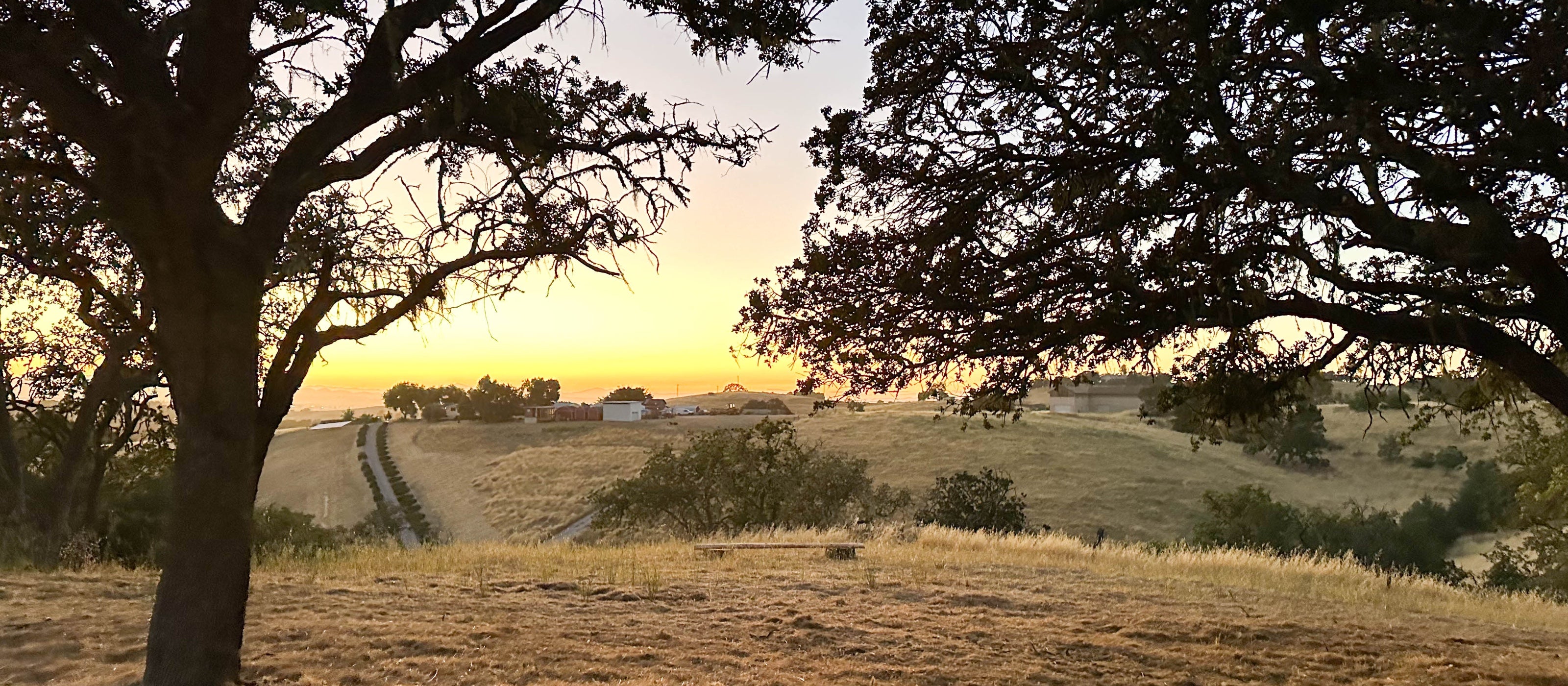Wide view of sunset area at Campover Ranch in Paso Robles, California