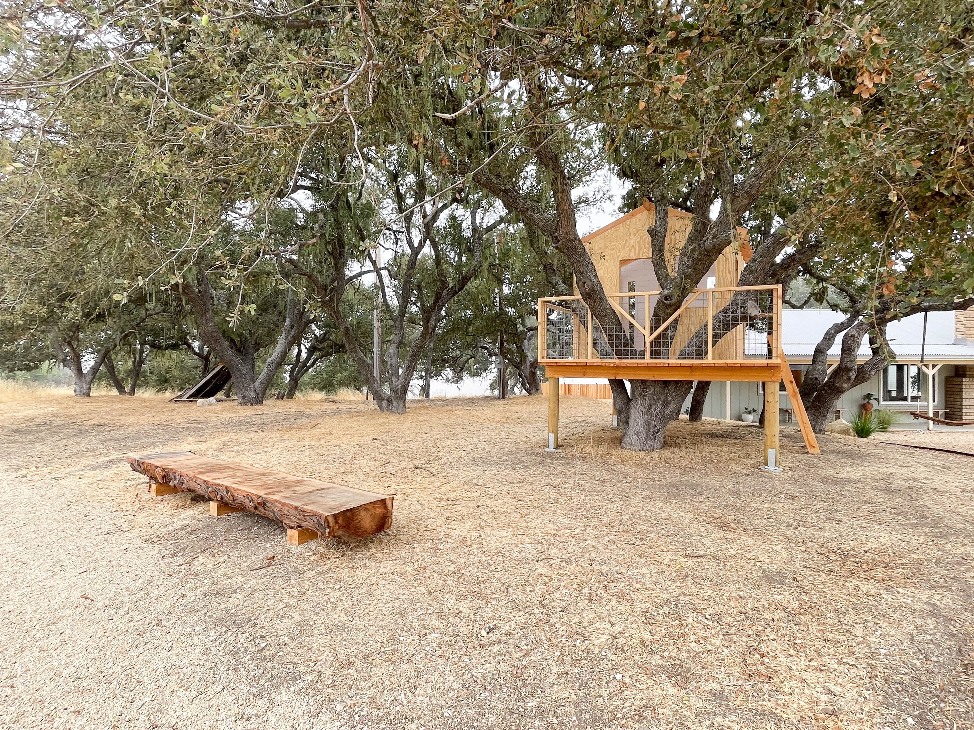 Tree house and log bench at Campover Ranch in Paso Robles, CA