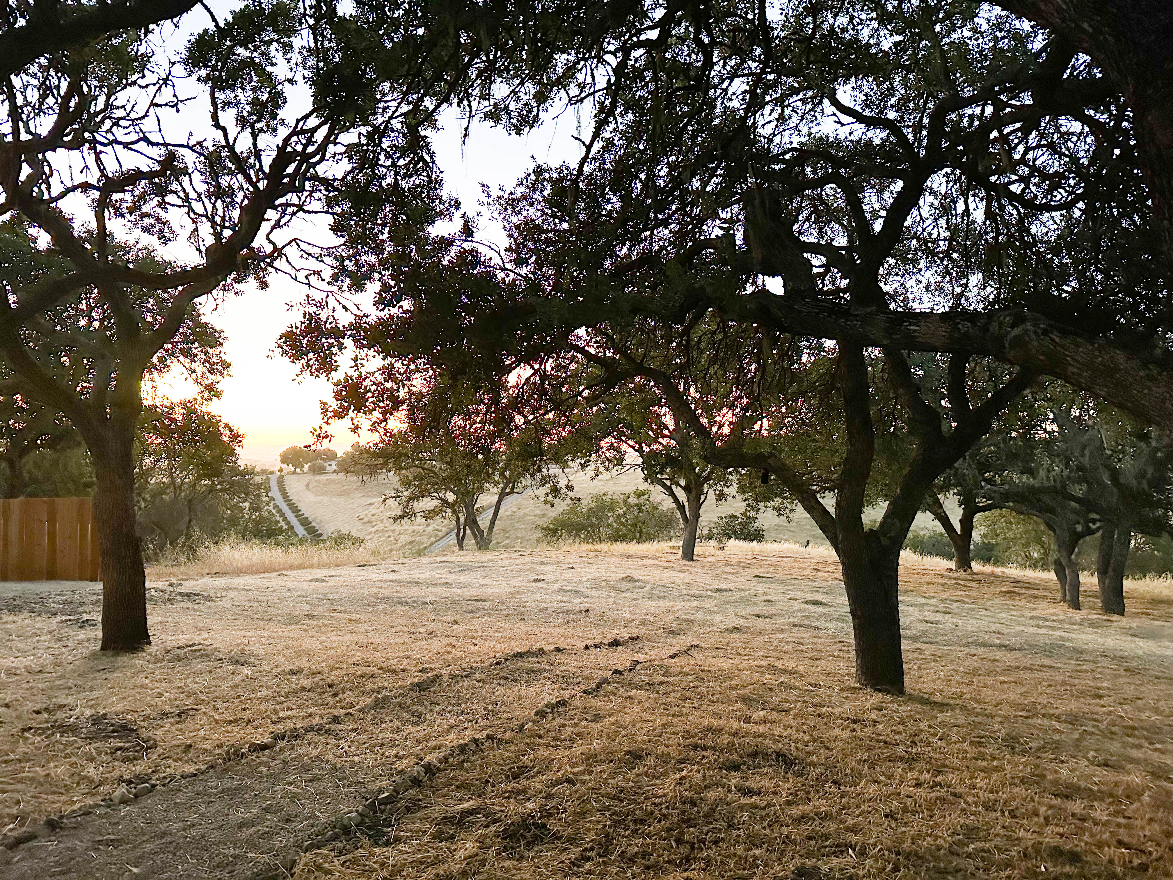 Path to sunset view at Campover Ranch in Paso Robles, California