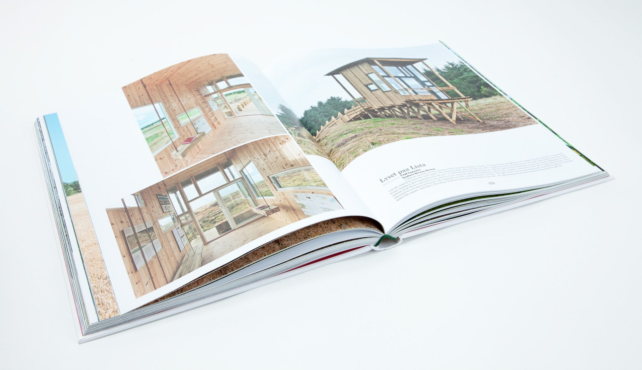 Hide and Seek | lifestyle