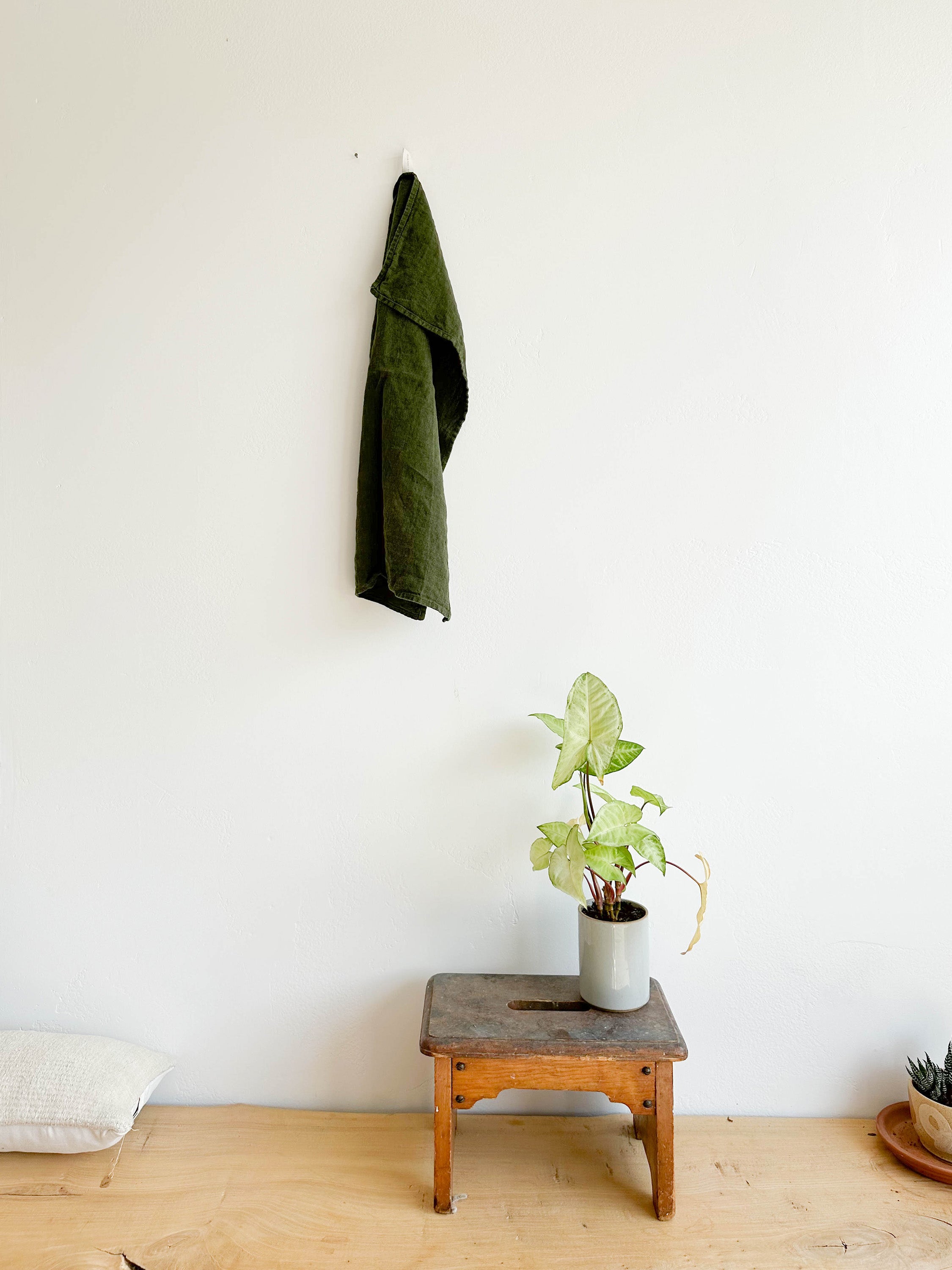 Fog Linen Kitchen Towel shown in green hanging from hook | lifestyle