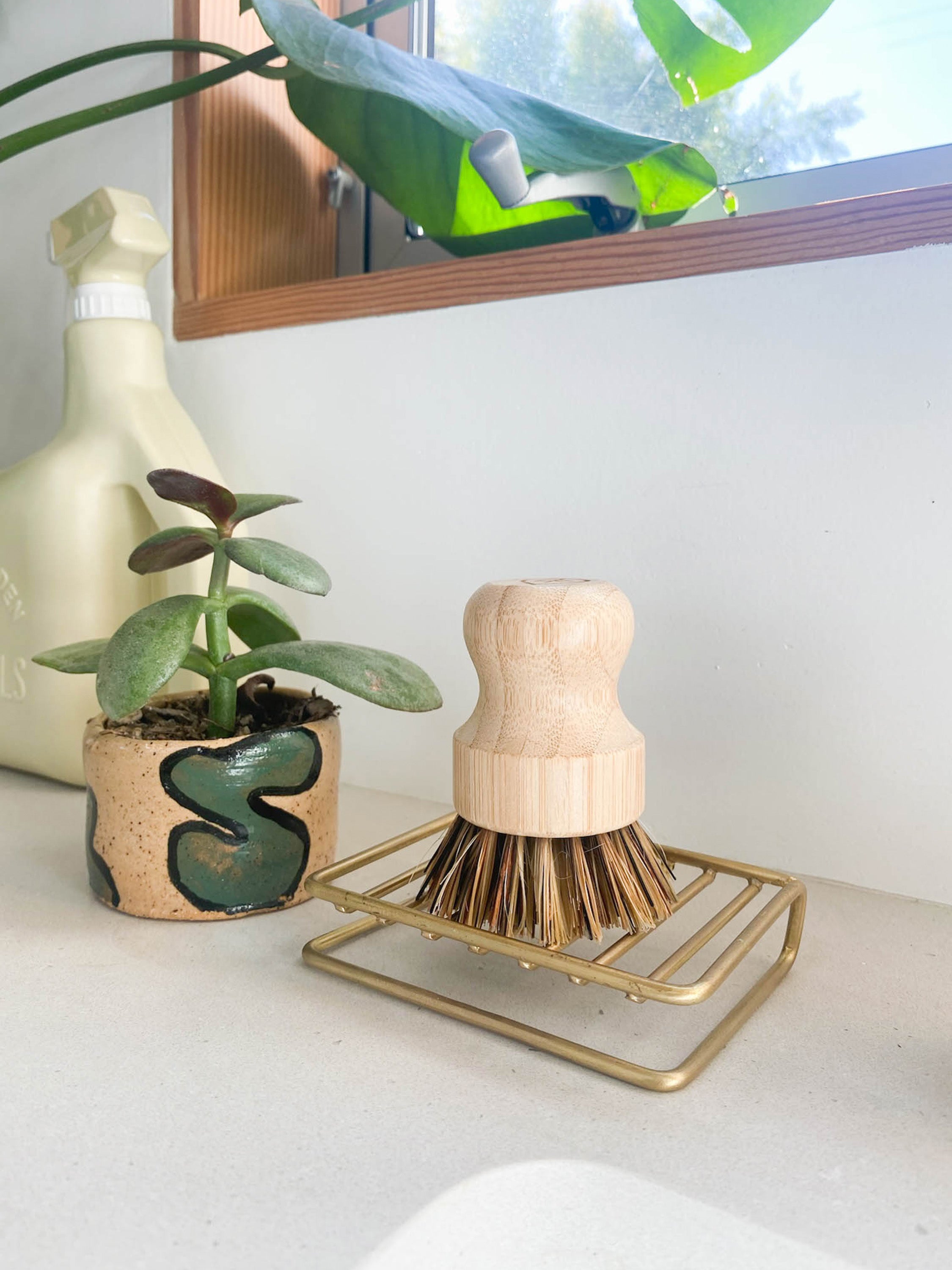 Brass Wire Soap Dish with Pot Scrubber resting on it on countertop with plants | lifestyle